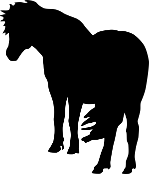 Aufkleber Isländer 3