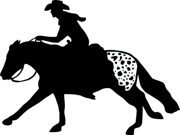Aufkleber Reining Appaloosa