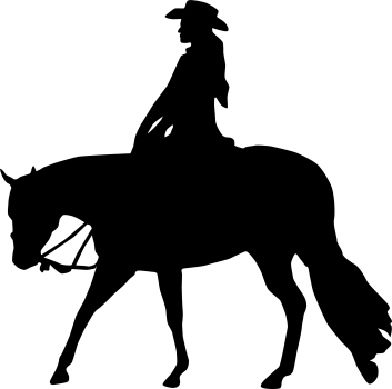 Aufkleber Pleasure 2