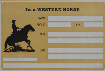 Boxenschild Western Horse
