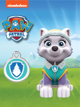 RedDingo Everest