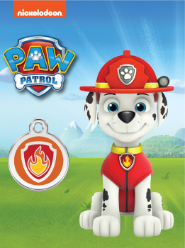 RedDingo Teddybär