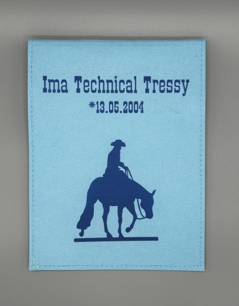 Hülle für Equidenpass